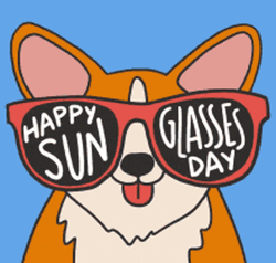 Always Sunny Corgi Sunglass GIF