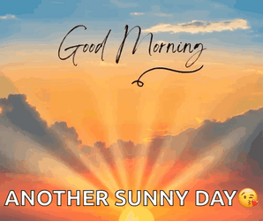 Always Sunny Day Blessings GIF