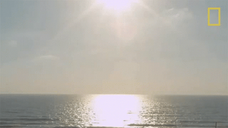 Always Sunny On The Oceans GIF