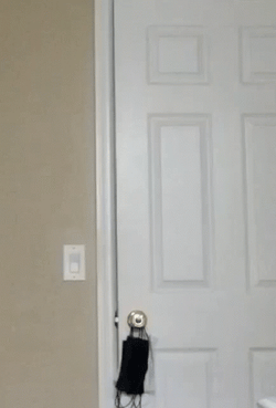 Am Just Lurking Boy GIF