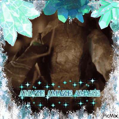 Amazed Amazed Amazed GIF