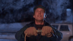 Amazed Clark Griswold Christmas Lights GIF