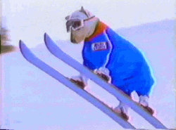 Amazing Dog Skiing Flying  GIF
