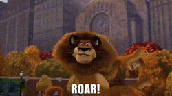 Amazing Madagascar Lion Roar Fireworks GIF