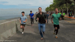 Amazing Race GIF