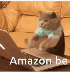 Amazon Be Like Frantic Cat Typing GIF