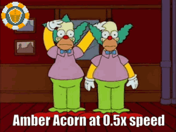 Amber Acorn Point Five Speed GIF