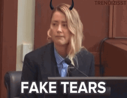 Amber Heard Fake Tears GIF