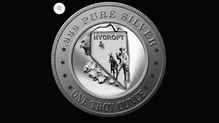 Amc Silver Coin  GIF