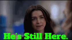 Amelia Shepherd Hes Still Here Hes Alive GIF