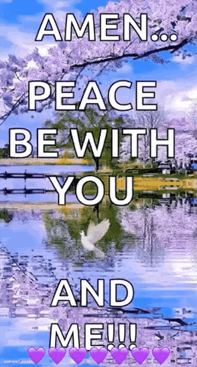 Amen Peace Dove In Water GIF