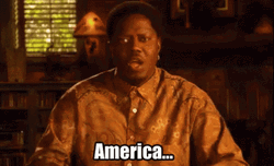 America Bernie Mac Show GIF