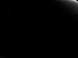 America Covid News Broadcast GIF