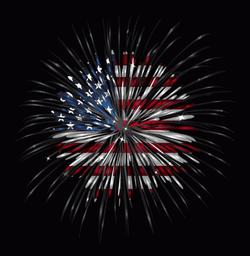 America Fireworks Meme GIF