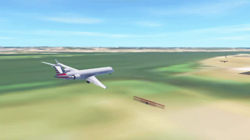 American Airlines Plane Flying Over Field GIF