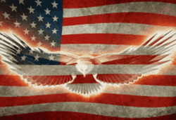 American Eagle US Flag GIF