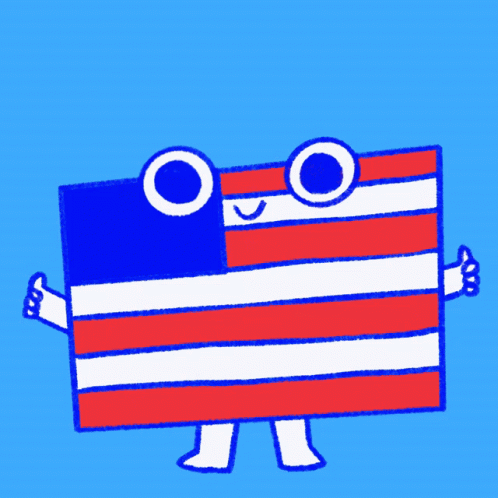 American Flag Cartoon With We Got This GIF