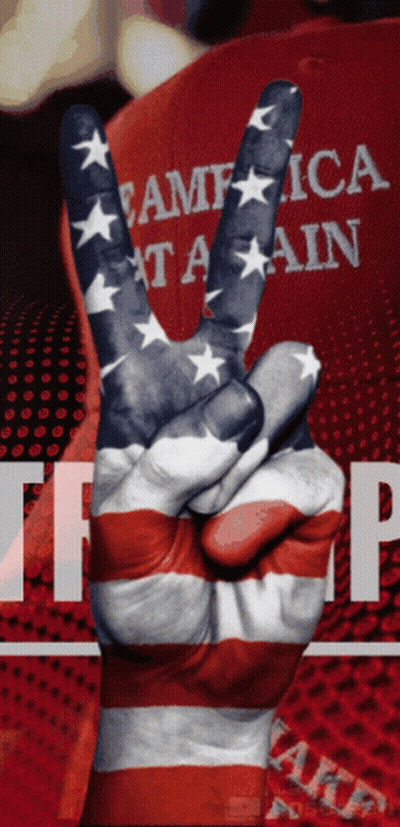 American Flag Hand Giving Peace Sign GIF