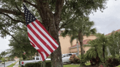 American Flag Hanging On Tree GIF