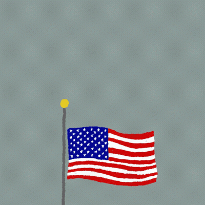American Flag Protect The Democracy They Fought And Died For GIF