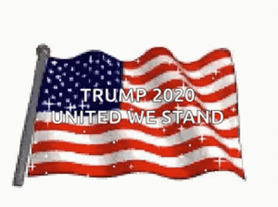 American Flag Trump 2020 United We Stand GIF