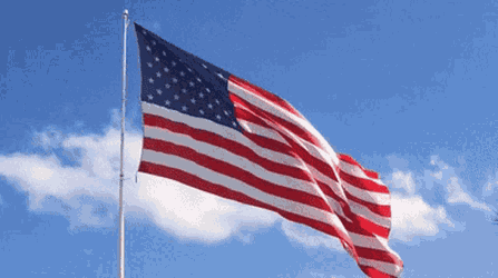 American Flag Usa GIF