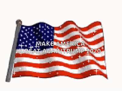 American Flag Waving Make America Great Again Trump 2020 GIF