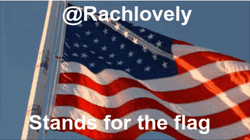 American Flag Waving Stands For The Flag GIF