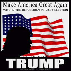 American Flag Waving Vote For Trump GIF