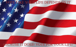 American Flag Waving Vote For Your Life GIF