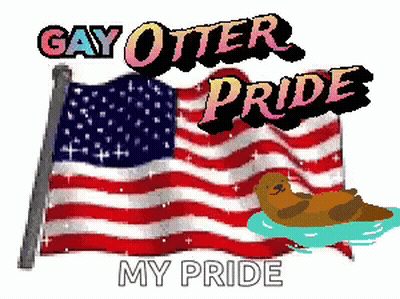 American Flag With Gay Otter Pride GIF