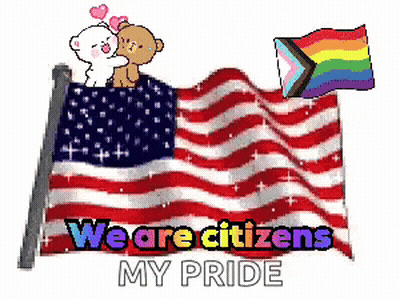 American Flag With Teddy Bears And Pride GIF