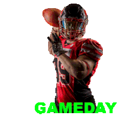 American Football Gameday Sticker GIF
