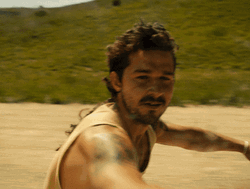 American Honey Shia Labeouf GIF
