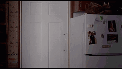 American Pie Eugene Levy Noah Levenstein GIF