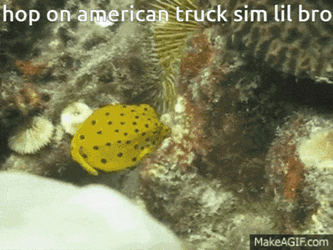 American Truck Sim American Truck Simulator GIF