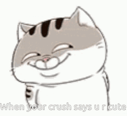 Ami Fat When Your Crush Says You Are Cute GIF
