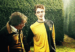 Amos And Cedric Diggory GIF