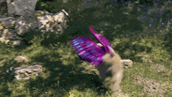 Amusing Butterfly Dog Chasing Tail Nope GIF