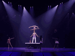 Amusing Circus Head To Head Stunt Ringling Bros GIF