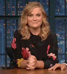 Amy Poehler Doing Chef's Kiss GIF