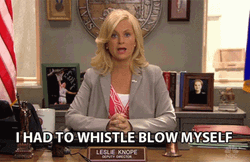 Amy Poehler Leslie Knope GIF