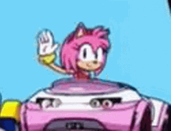Amy Rose Waving Hands GIF