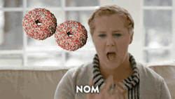 Amy Schumer After Eating Donuts GIF