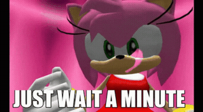 Amy The Hedgehog Saying Just Wait A Minute GIF