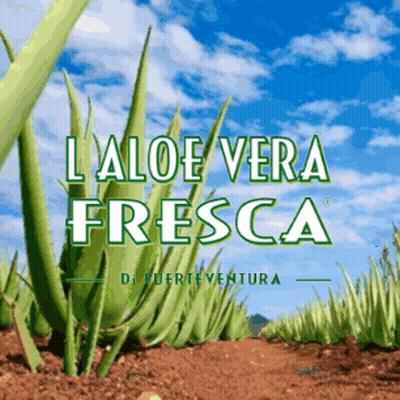 An Advertisement For Aloe Vera Fresca Shows A Field Of Plants GIF