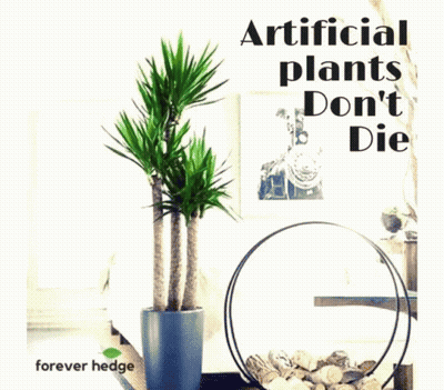 An Advertisement For Artificial Trees And Planting Shows A Green Wall GIF