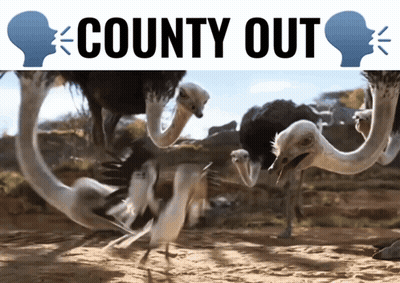 An Advertisement For County Out Features Ostrich Heads GIF