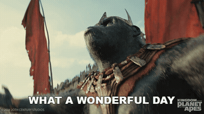 An Advertisement For Kingdom Of The Planet Apes Shows A Gorilla GIF