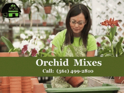 An Advertisement For Orchid Mixes Shows A Woman Planting Flowers GIF